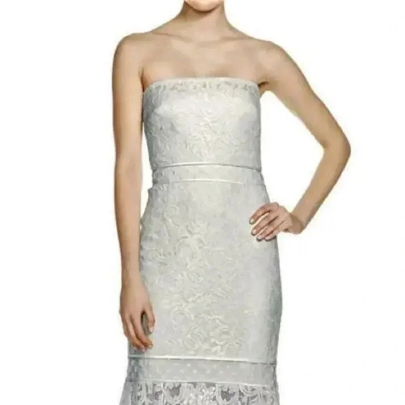 Tadashi Shoji Ivory and Ice trumpet strapless formal gown lace Size 8 - Picture 3 of 15